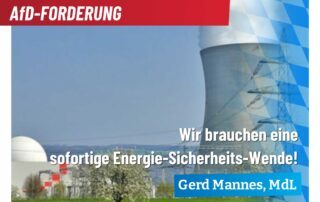 Energiewende Gas Strom Preise AfD