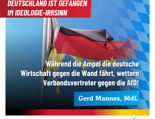 Während die Ampel die deutsche Wirtschaft gegen die Wand fährt, wettern Verbandsvertreter gegen die AfD!